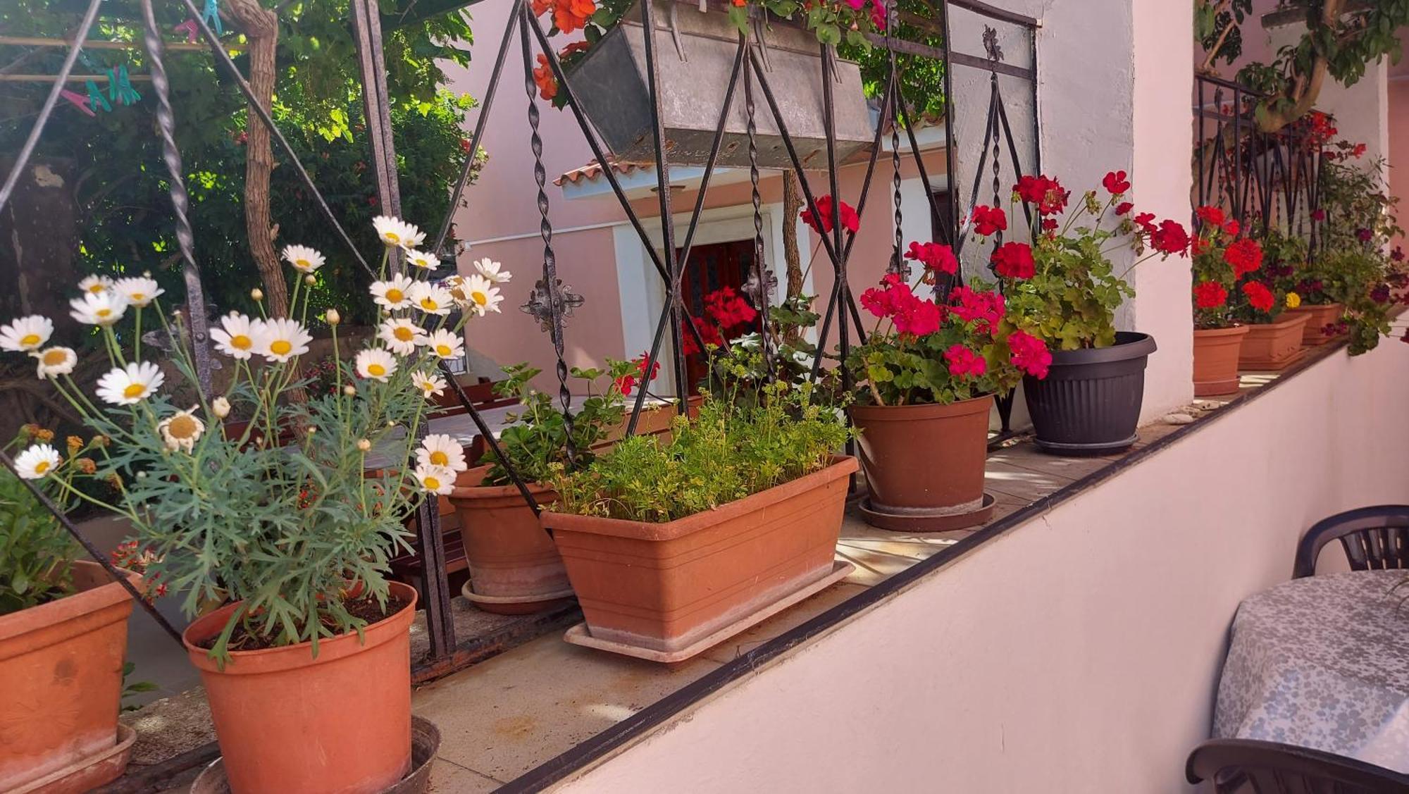 Holiday House Letizia بريمونتيرا المظهر الخارجي الصورة